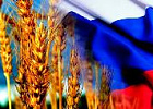 Экспорт продукции АПК из России с начала года вырос на 13%